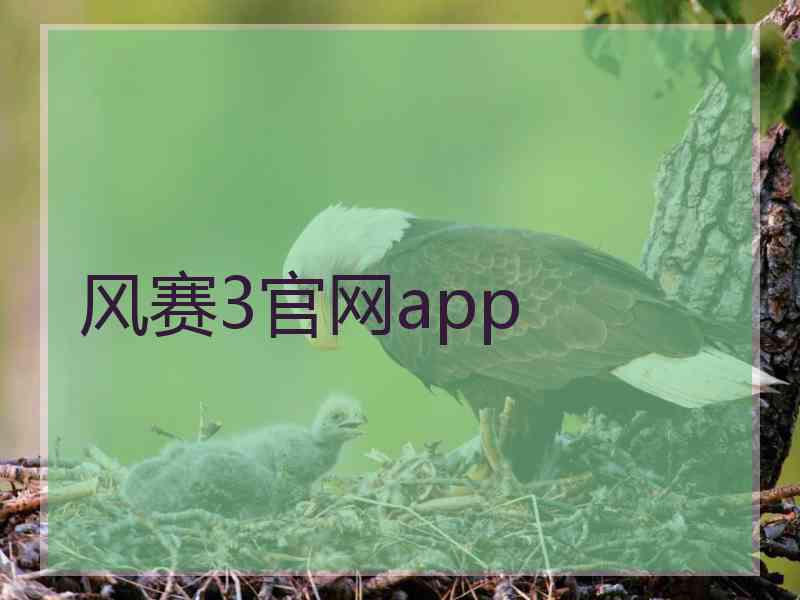风赛3官网app