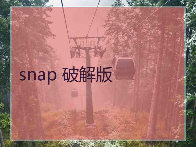 snap 破解版
