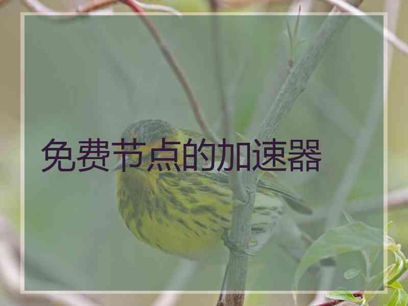 免费节点的加速器