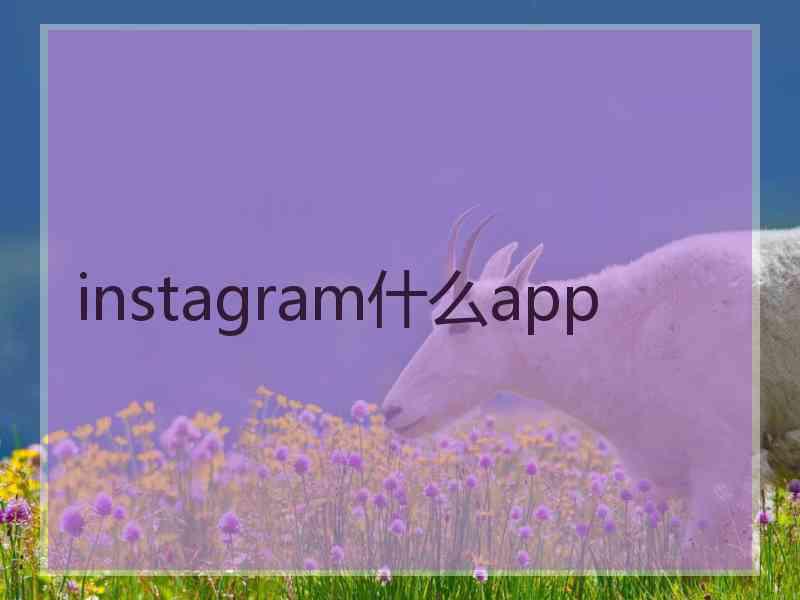 instagram什么app