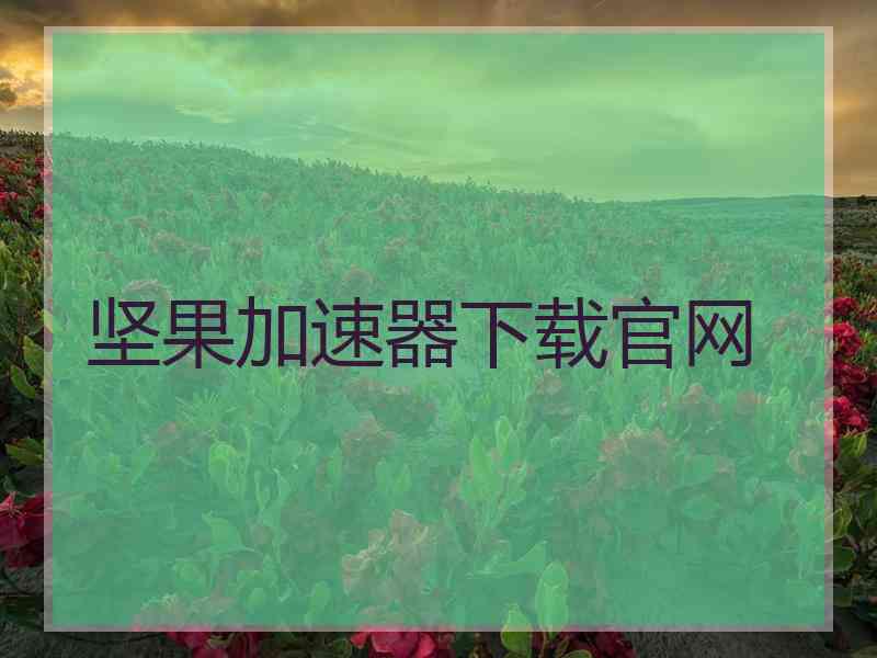 坚果加速器下载官网