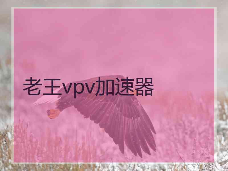 老王vpv加速器