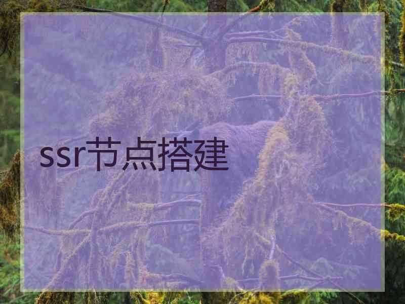 ssr节点搭建