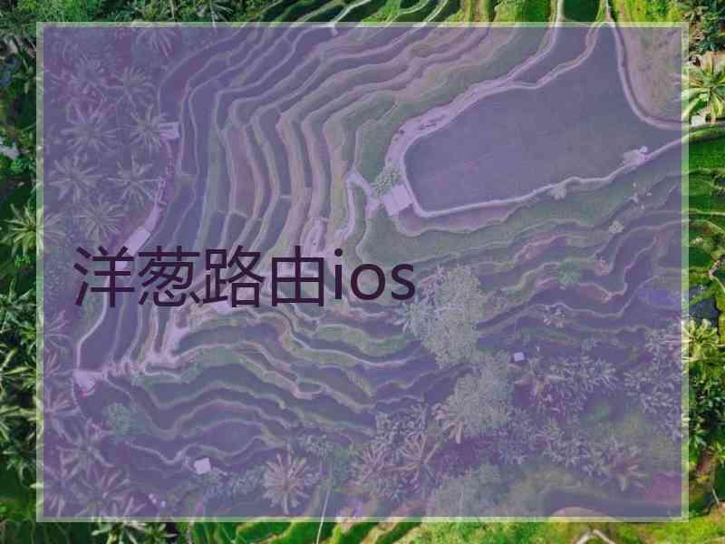 洋葱路由ios