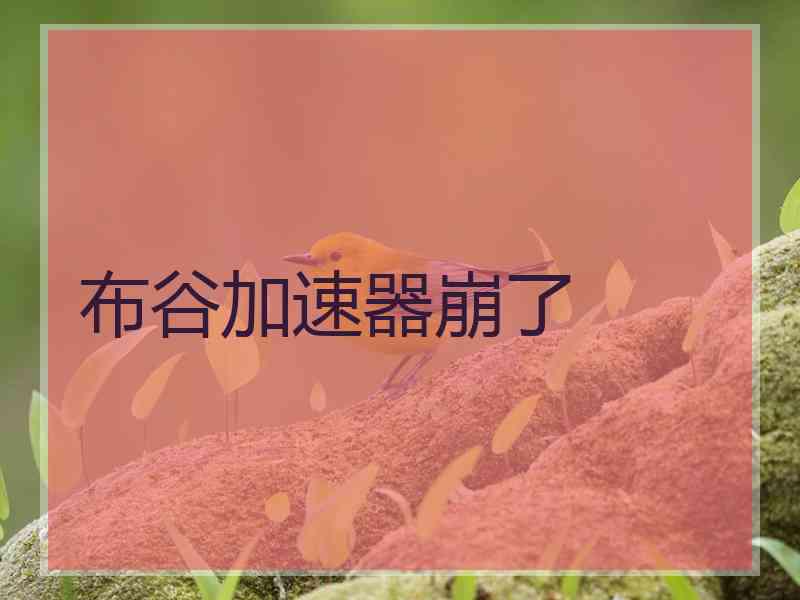 布谷加速器崩了