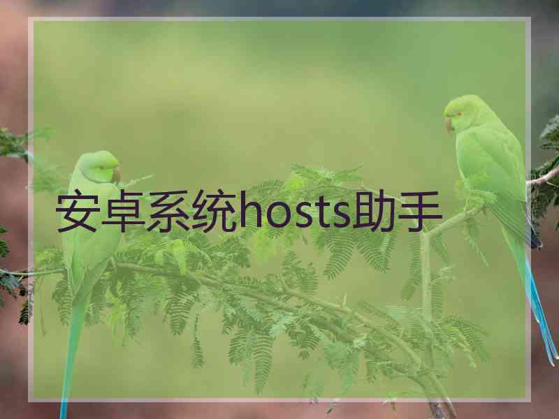 安卓系统hosts助手