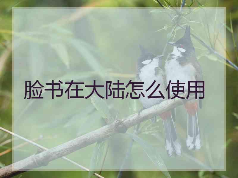 脸书在大陆怎么使用