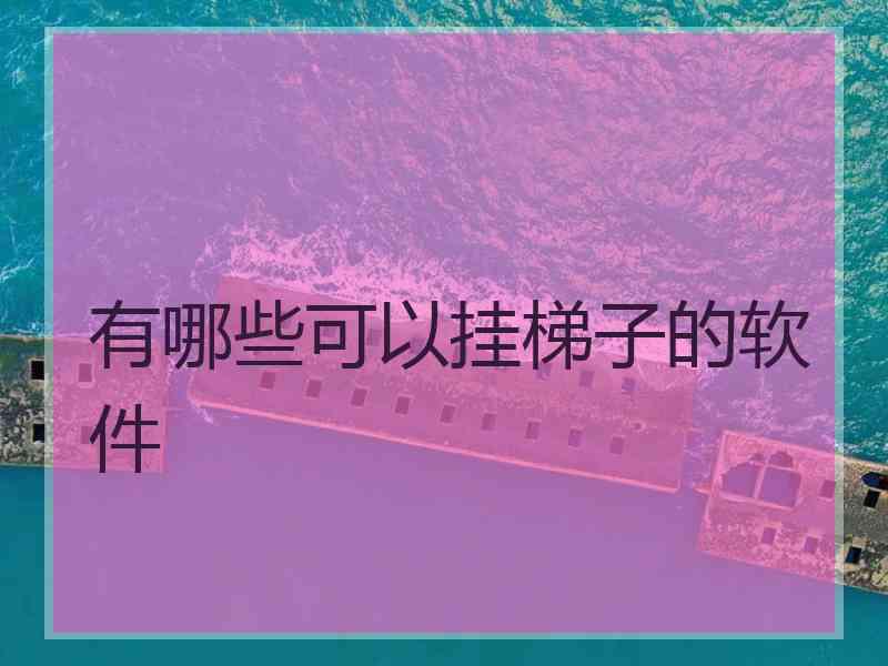 有哪些可以挂梯子的软件