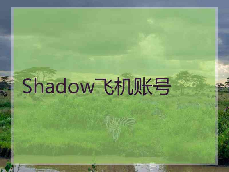 Shadow飞机账号