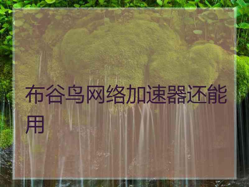 布谷鸟网络加速器还能用