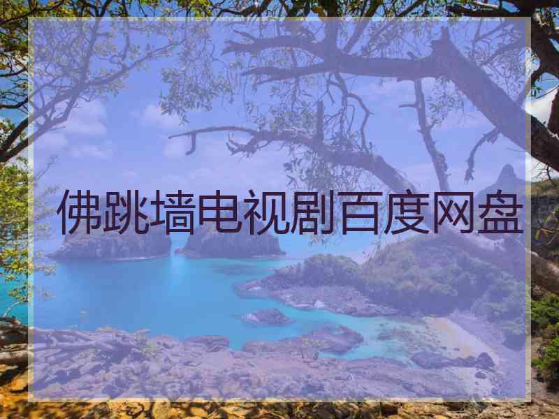 佛跳墙电视剧百度网盘