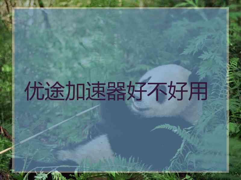 优途加速器好不好用