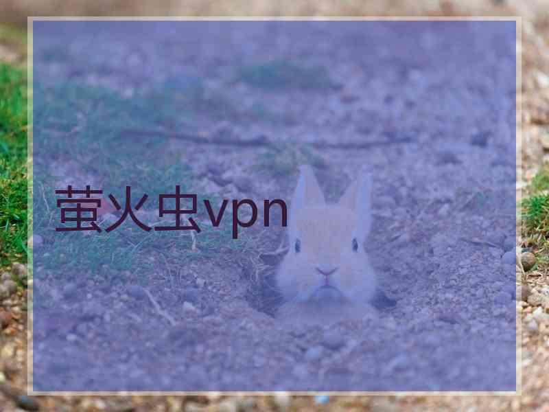 萤火虫vpn