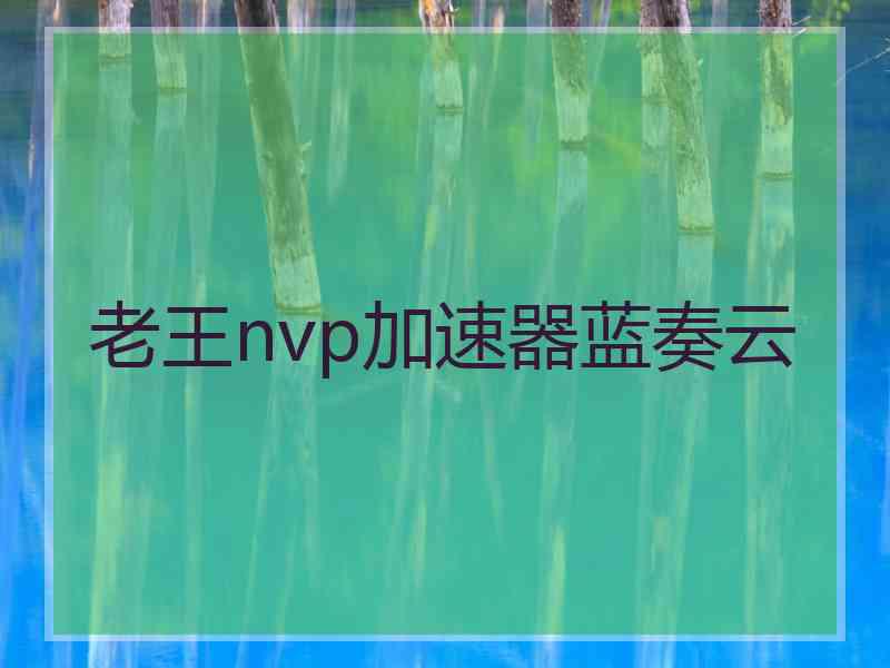 老王nvp加速器蓝奏云