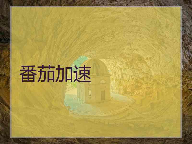 番茄加速