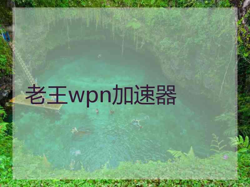 老王wpn加速器