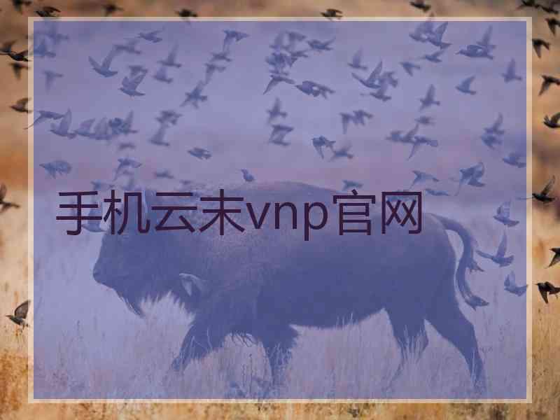 手机云末vnp官网