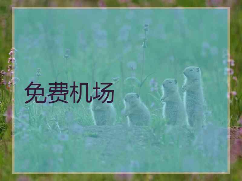 免费机场
