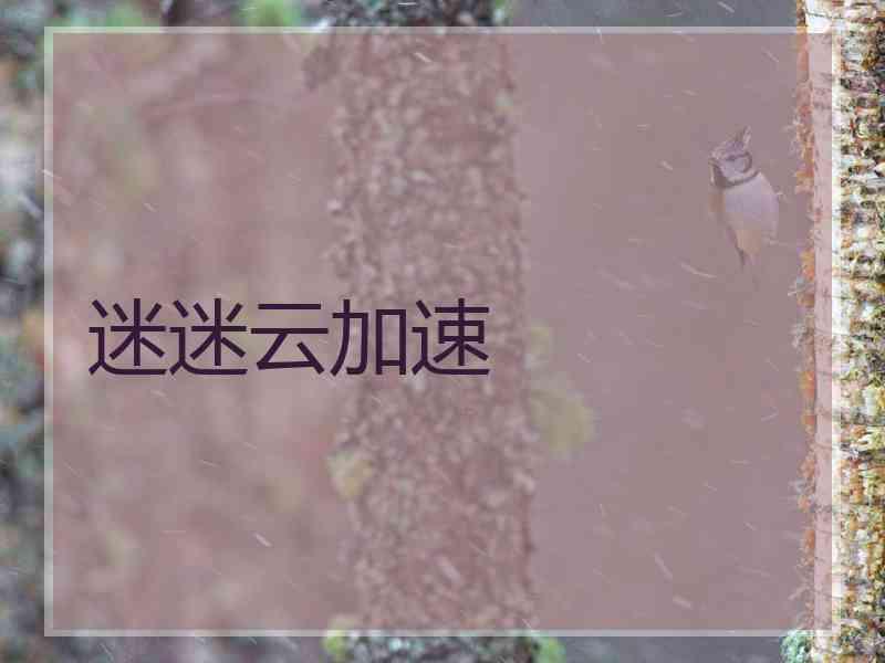 迷迷云加速