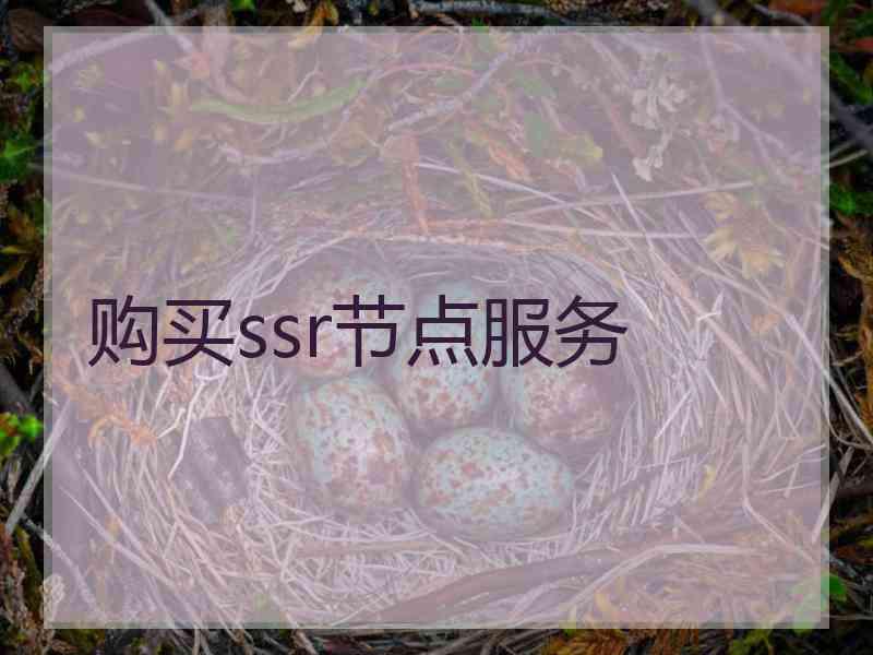 购买ssr节点服务