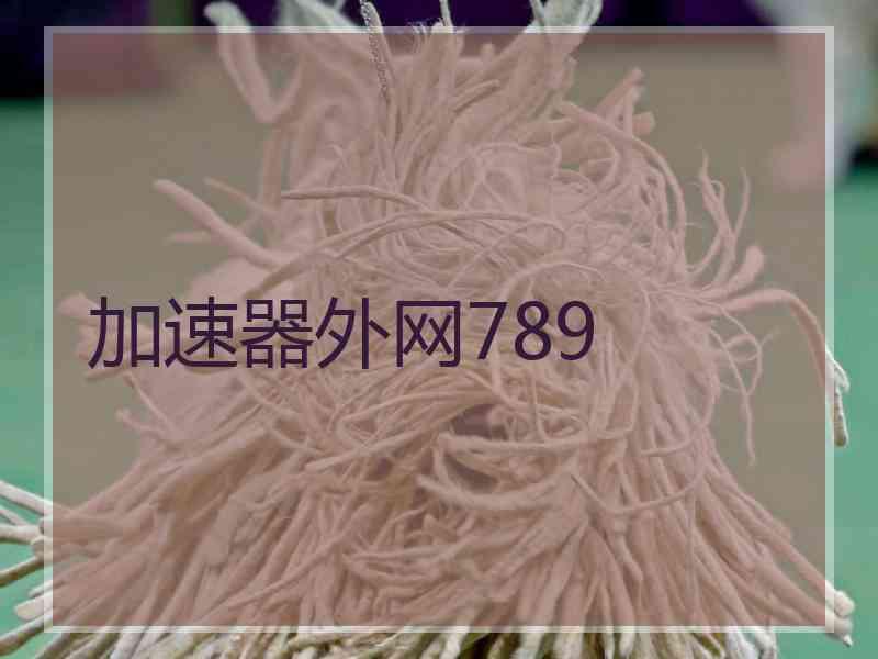 加速器外网789