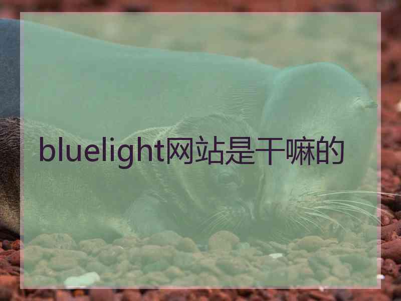 bluelight网站是干嘛的