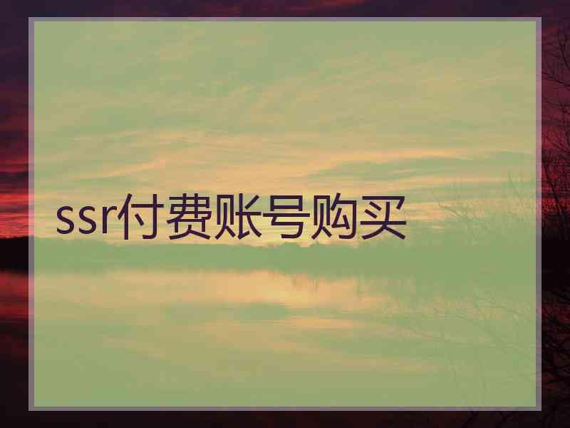 ssr付费账号购买