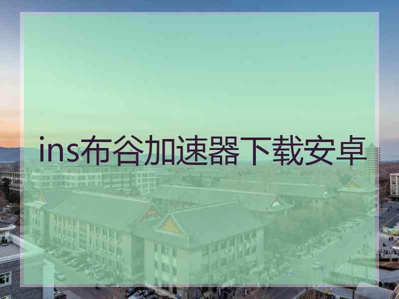 ins布谷加速器下载安卓