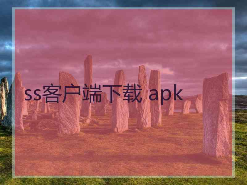ss客户端下载 apk