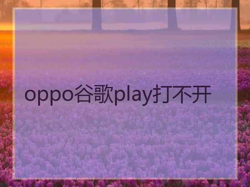 oppo谷歌play打不开