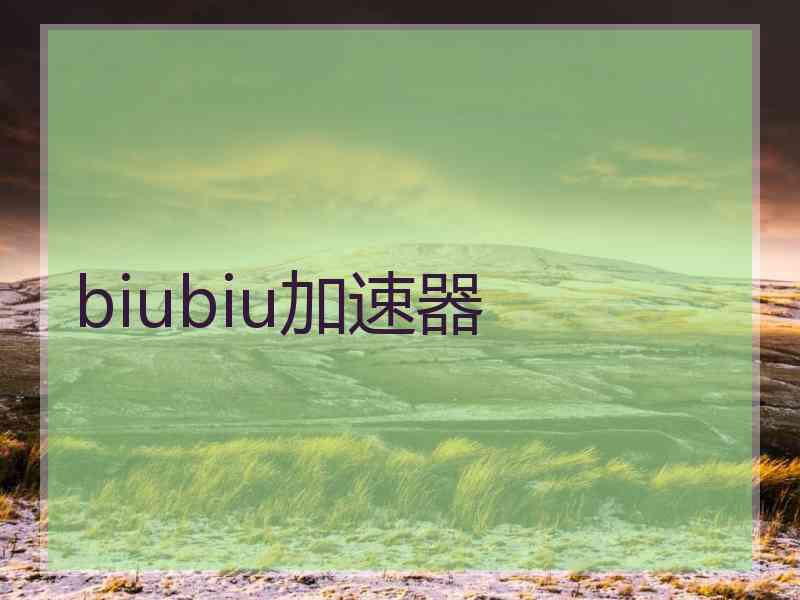 biubiu加速器