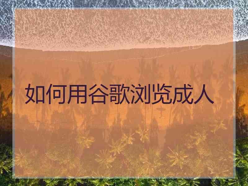 如何用谷歌浏览成人