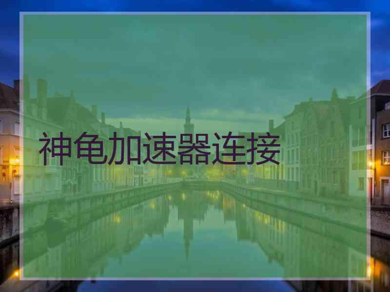 神龟加速器连接