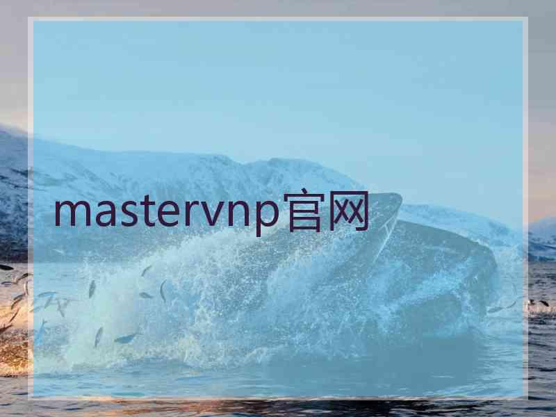 mastervnp官网