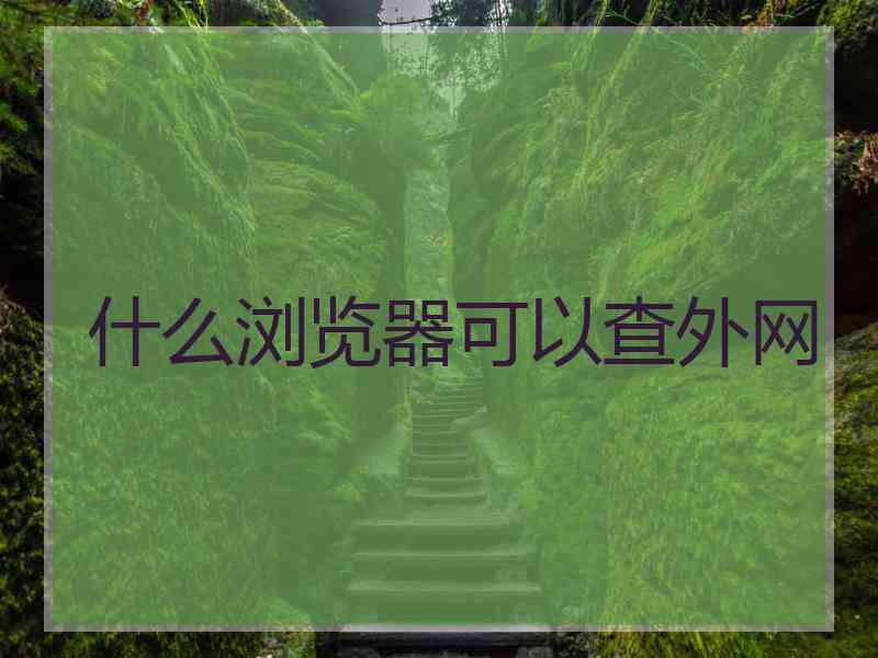 什么浏览器可以查外网