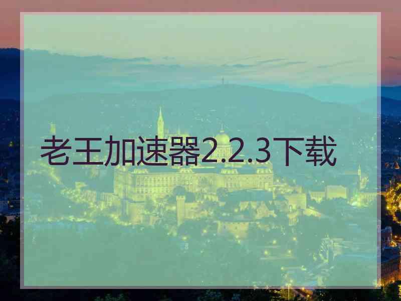 老王加速器2.2.3下载