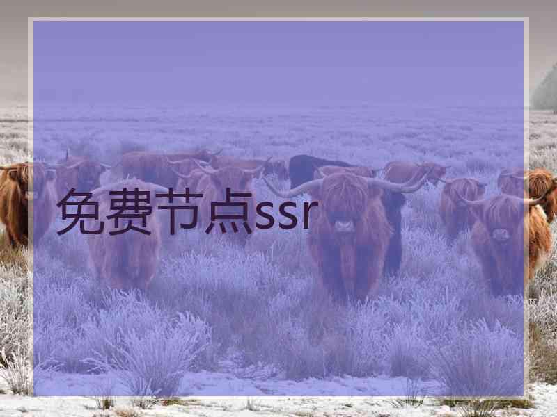 免费节点ssr