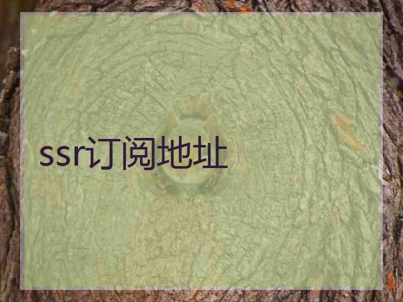 ssr订阅地址
