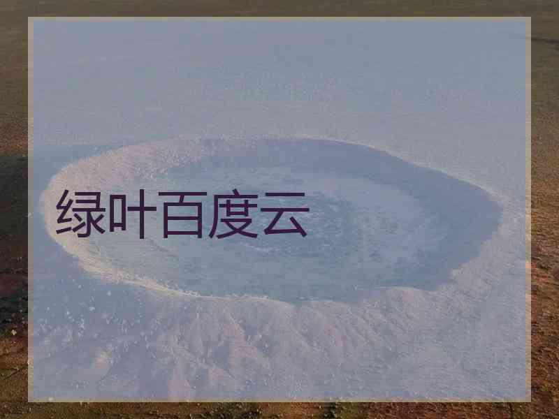 绿叶百度云