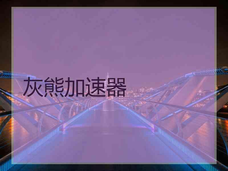 灰熊加速器