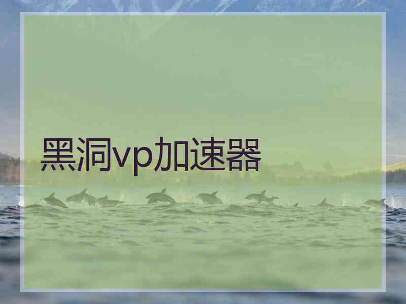 黑洞vp加速器