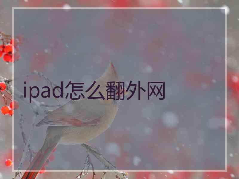 ipad怎么翻外网
