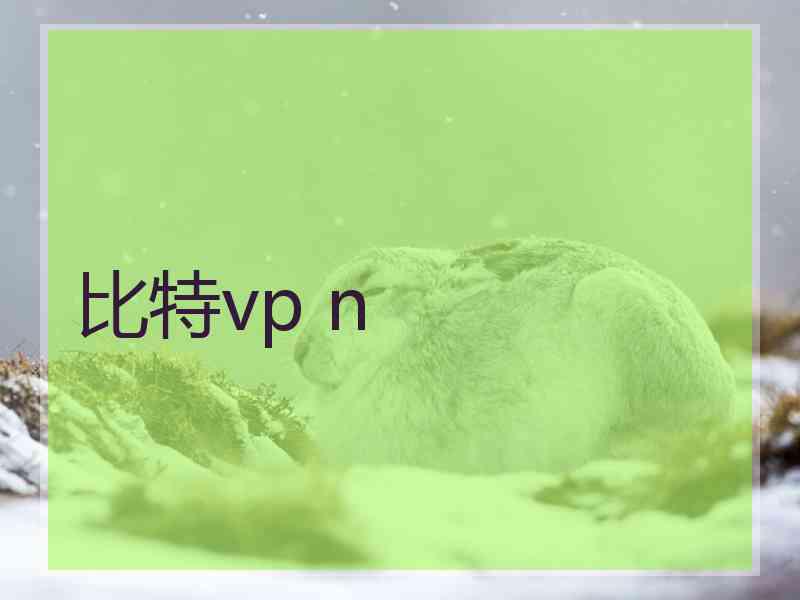 比特vp n