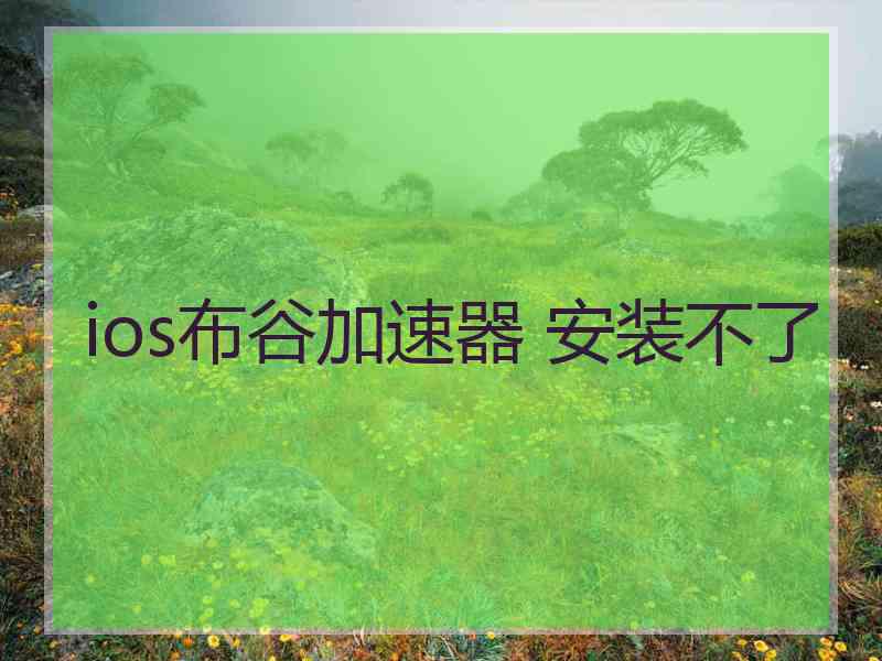 ios布谷加速器 安装不了