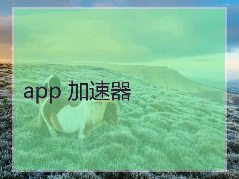 app 加速器