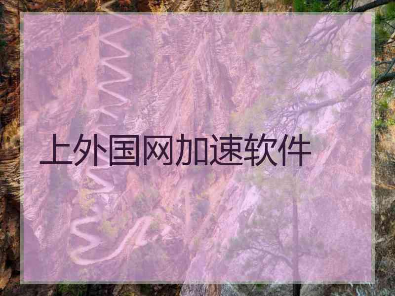 上外国网加速软件
