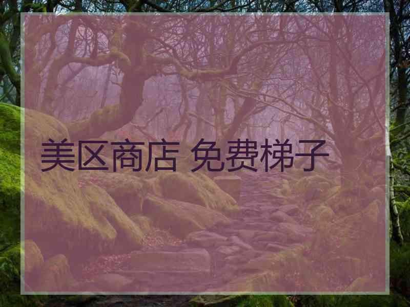 美区商店 免费梯子