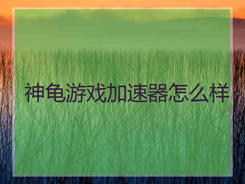 神龟游戏加速器怎么样