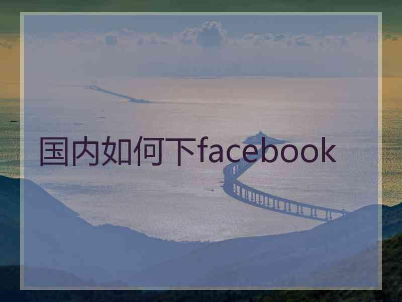 国内如何下facebook