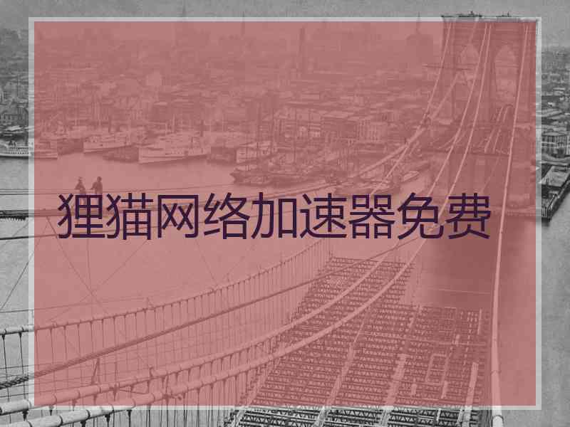 狸猫网络加速器免费